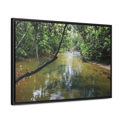 Rainforest Trails & Views - Gallery Canvas Wraps, Horizontal Frame - El Yunque National Forest - Puerto Rico - The pristine upper Rio Sabana river - Green Forest Home