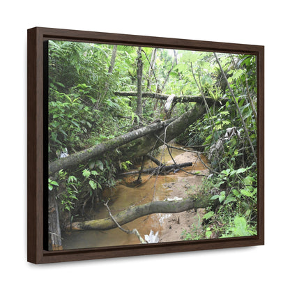 Rainforest Trails & Views - Gallery Canvas Wraps, Horizontal Frame - El Yunque National Forest - Puerto Rico - The pristine upper Rio Sabana river - Green Forest Home