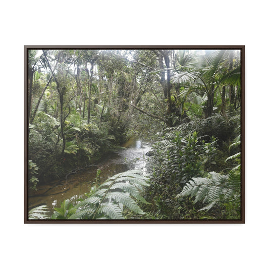 Rainforest Trails & Views - Gallery Canvas Wraps, Horizontal Frame - El Yunque National Forest - Puerto Rico - The pristine upper Rio Sabana river in the dense forest - Green Forest Home