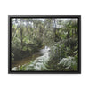 Rainforest Trails & Views - Gallery Canvas Wraps, Horizontal Frame - El Yunque National Forest - Puerto Rico - The pristine upper Rio Sabana river in the dense forest - Green Forest Home