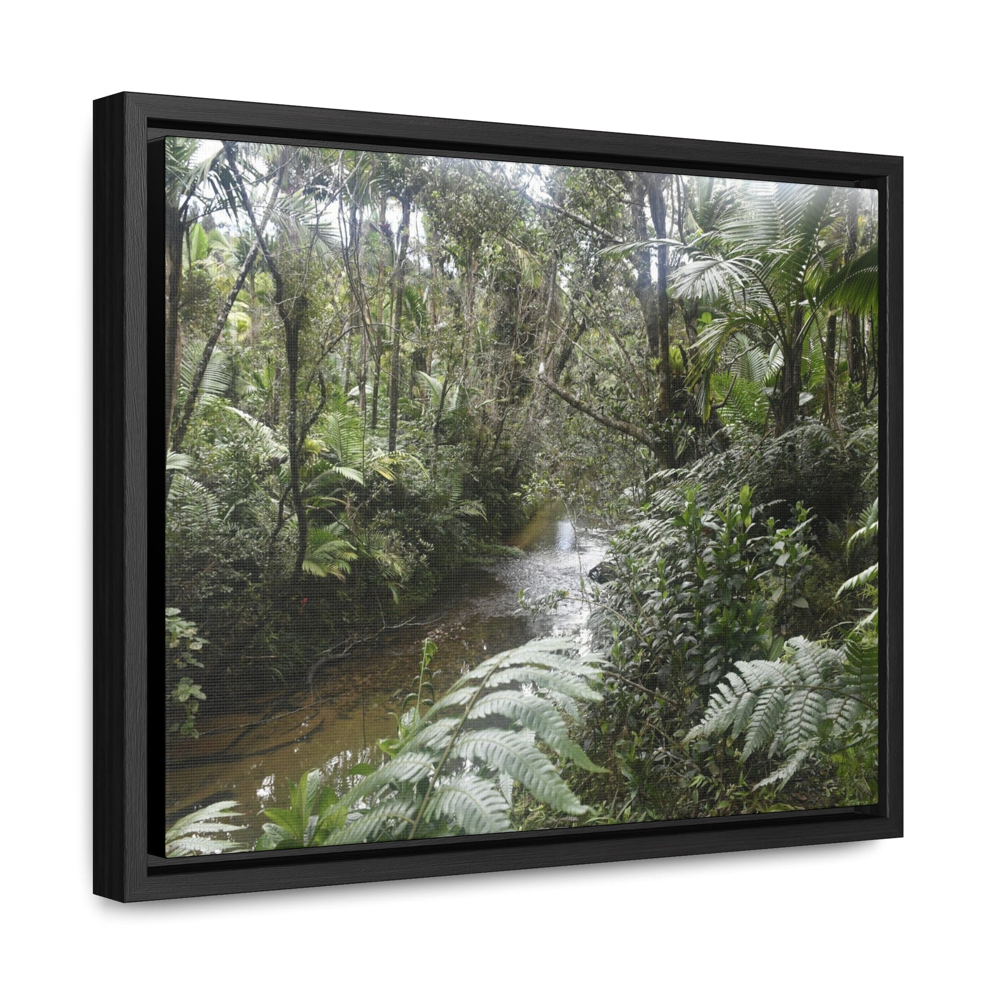 Rainforest Trails & Views - Gallery Canvas Wraps, Horizontal Frame - El Yunque National Forest - Puerto Rico - The pristine upper Rio Sabana river in the dense forest - Green Forest Home
