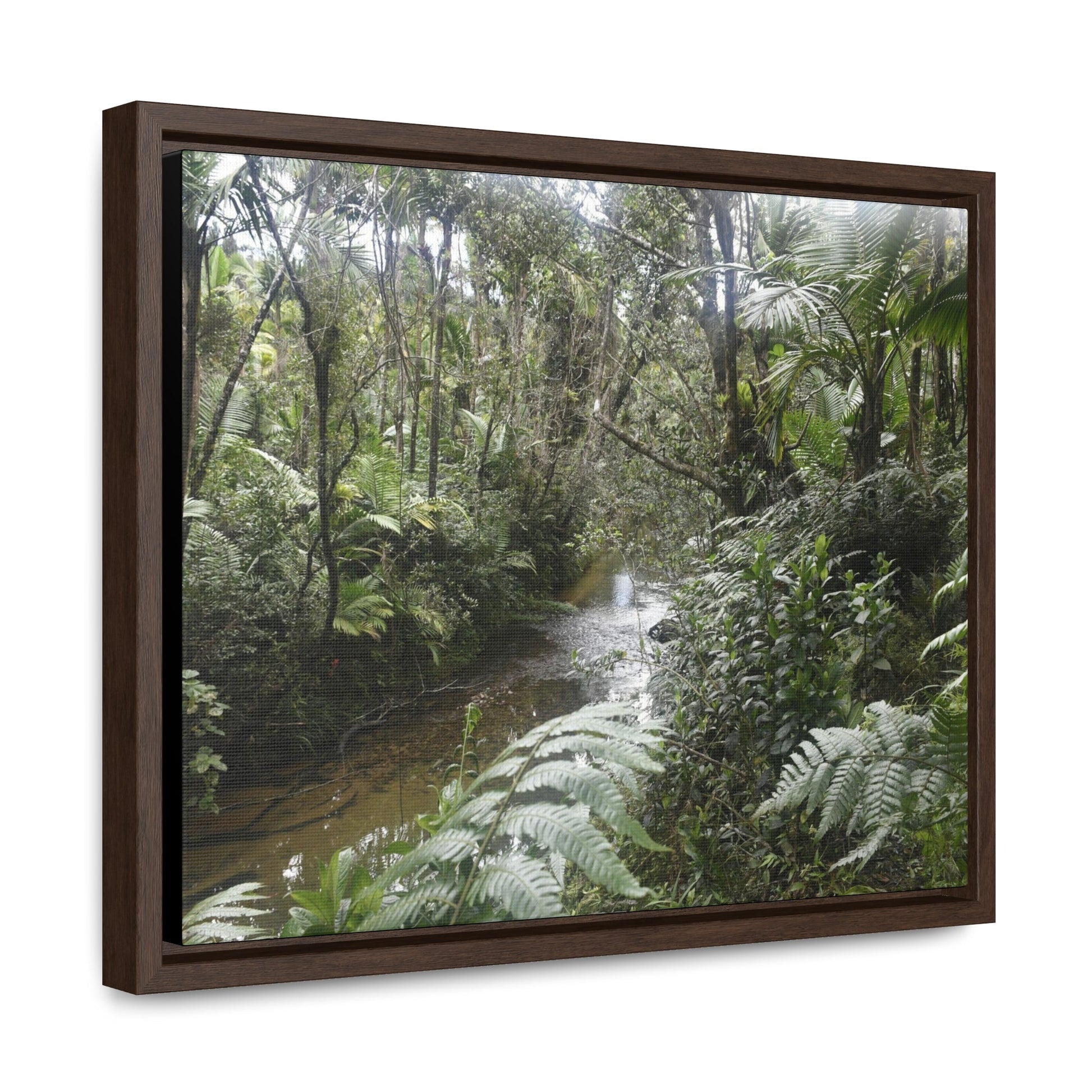 Rainforest Trails & Views - Gallery Canvas Wraps, Horizontal Frame - El Yunque National Forest - Puerto Rico - The pristine upper Rio Sabana river in the dense forest - Green Forest Home