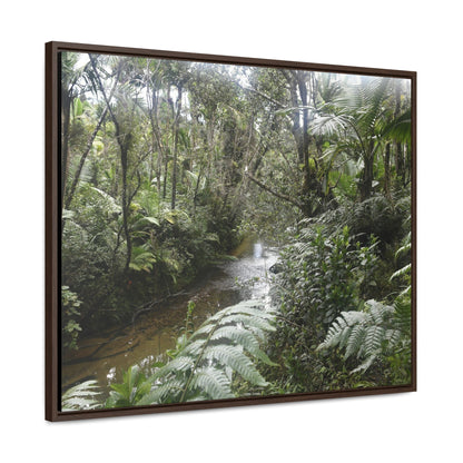 Rainforest Trails & Views - Gallery Canvas Wraps, Horizontal Frame - El Yunque National Forest - Puerto Rico - The pristine upper Rio Sabana river in the dense forest - Green Forest Home