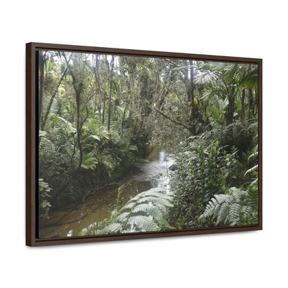 Rainforest Trails & Views - Gallery Canvas Wraps, Horizontal Frame - El Yunque National Forest - Puerto Rico - The pristine upper Rio Sabana river in the dense forest - Green Forest Home