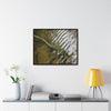 Rainforest Trails & Views - Gallery Canvas Wraps, Horizontal Frame - El Yunque National Forest - Puerto Rico - The pristine upper Rio Sabana river with a boulder with a micro-forest - Green Forest Home