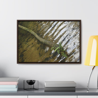 Rainforest Trails & Views - Gallery Canvas Wraps, Horizontal Frame - El Yunque National Forest - Puerto Rico - The pristine upper Rio Sabana river with a boulder with a micro-forest - Green Forest Home