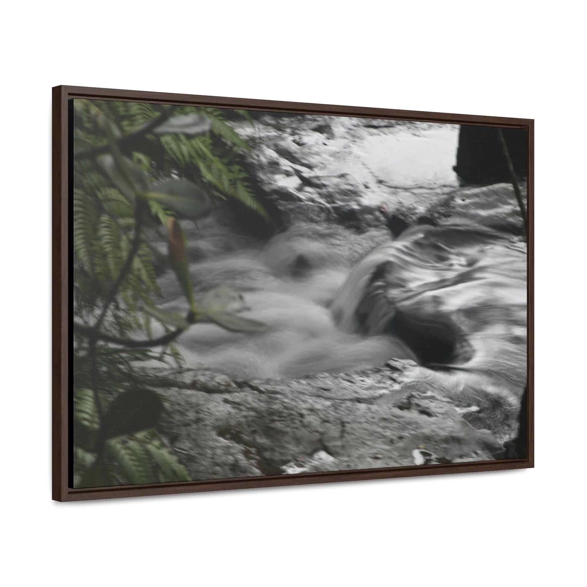 Rainforest Trails & Views - Gallery Canvas Wraps, Horizontal Frame - El Yunque National Forest - Puerto Rico - The Rio Sabana River just before a waterfall - Green Forest Home