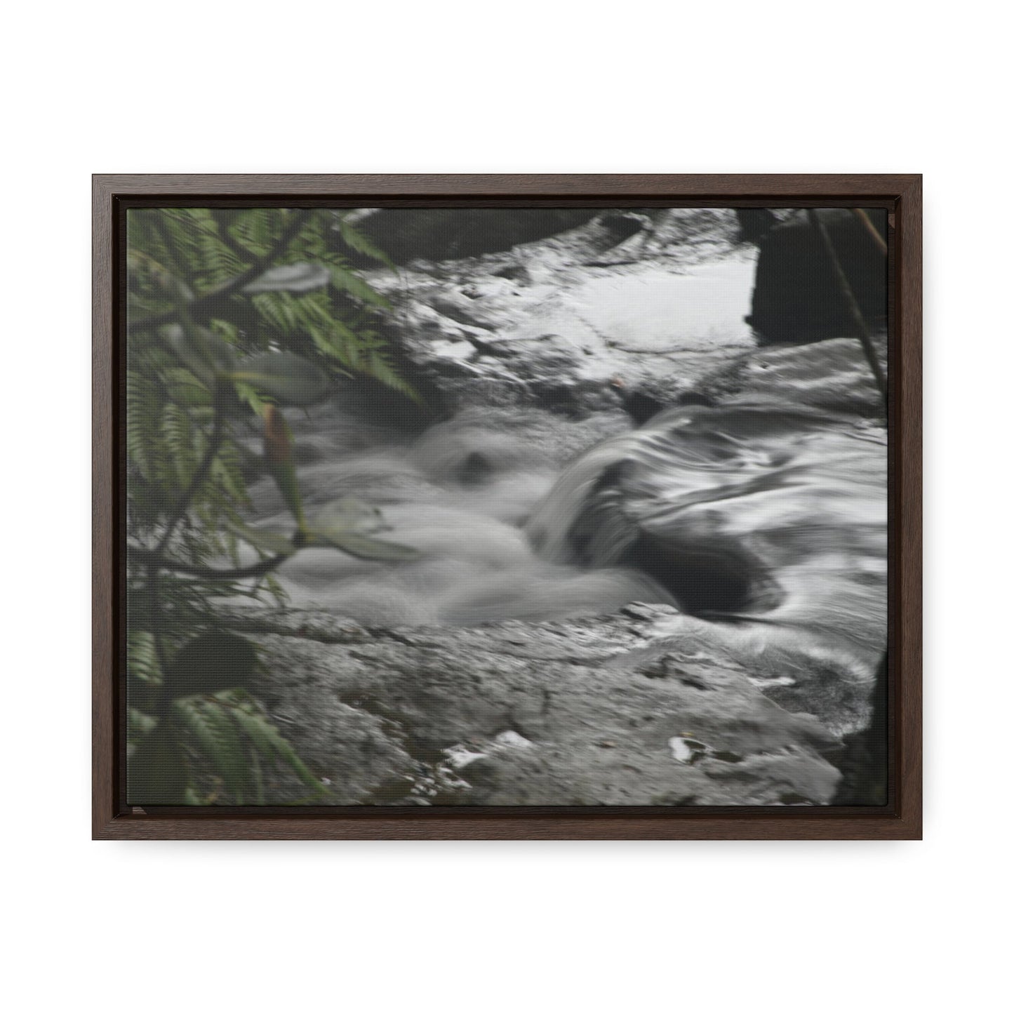 Rainforest Trails & Views - Gallery Canvas Wraps, Horizontal Frame - El Yunque National Forest - Puerto Rico - The Rio Sabana River just before a waterfall - Green Forest Home