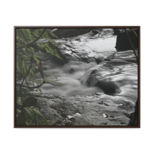 Rainforest Trails & Views - Gallery Canvas Wraps, Horizontal Frame - El Yunque National Forest - Puerto Rico - The Rio Sabana River just before a waterfall - Green Forest Home