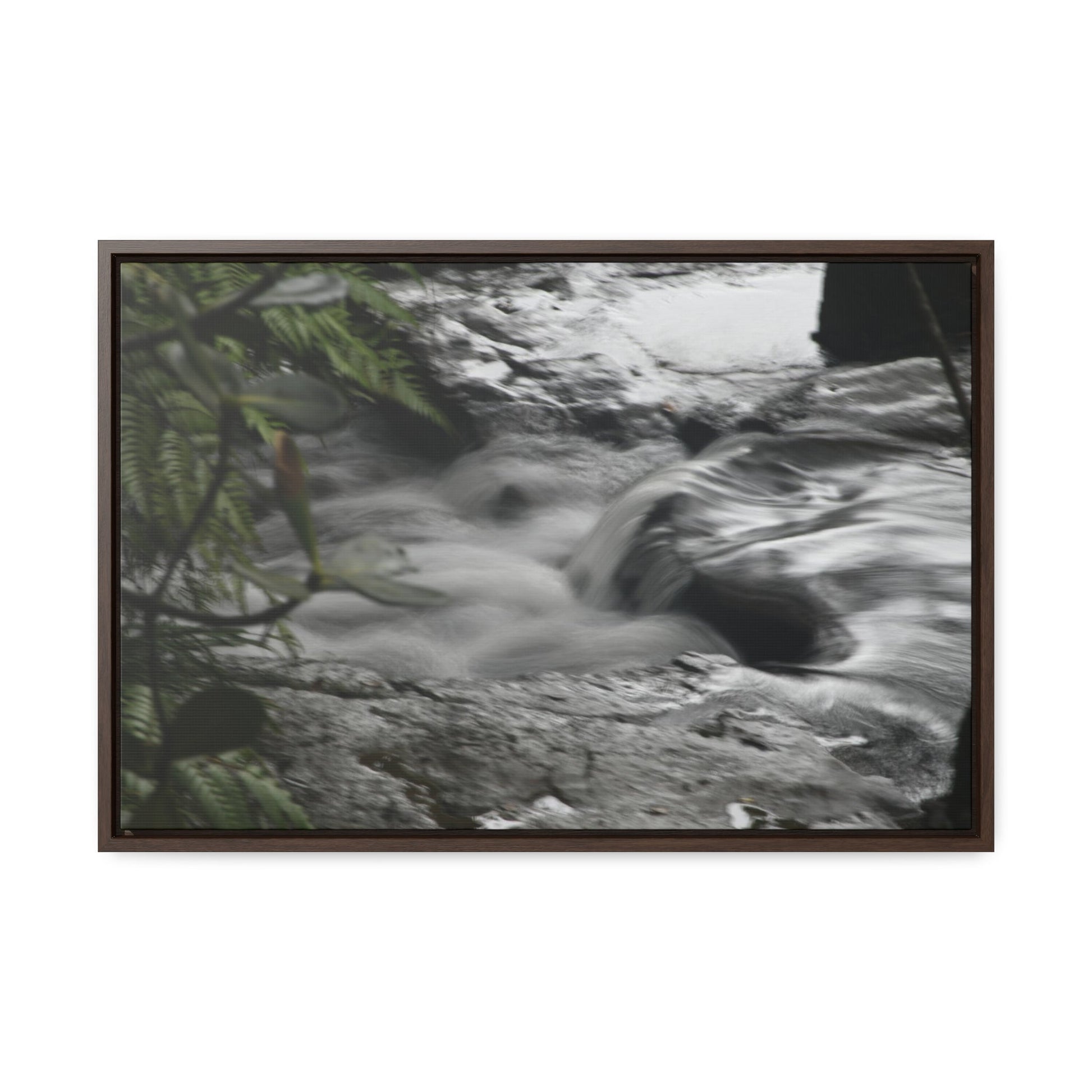 Rainforest Trails & Views - Gallery Canvas Wraps, Horizontal Frame - El Yunque National Forest - Puerto Rico - The Rio Sabana River just before a waterfall - Green Forest Home