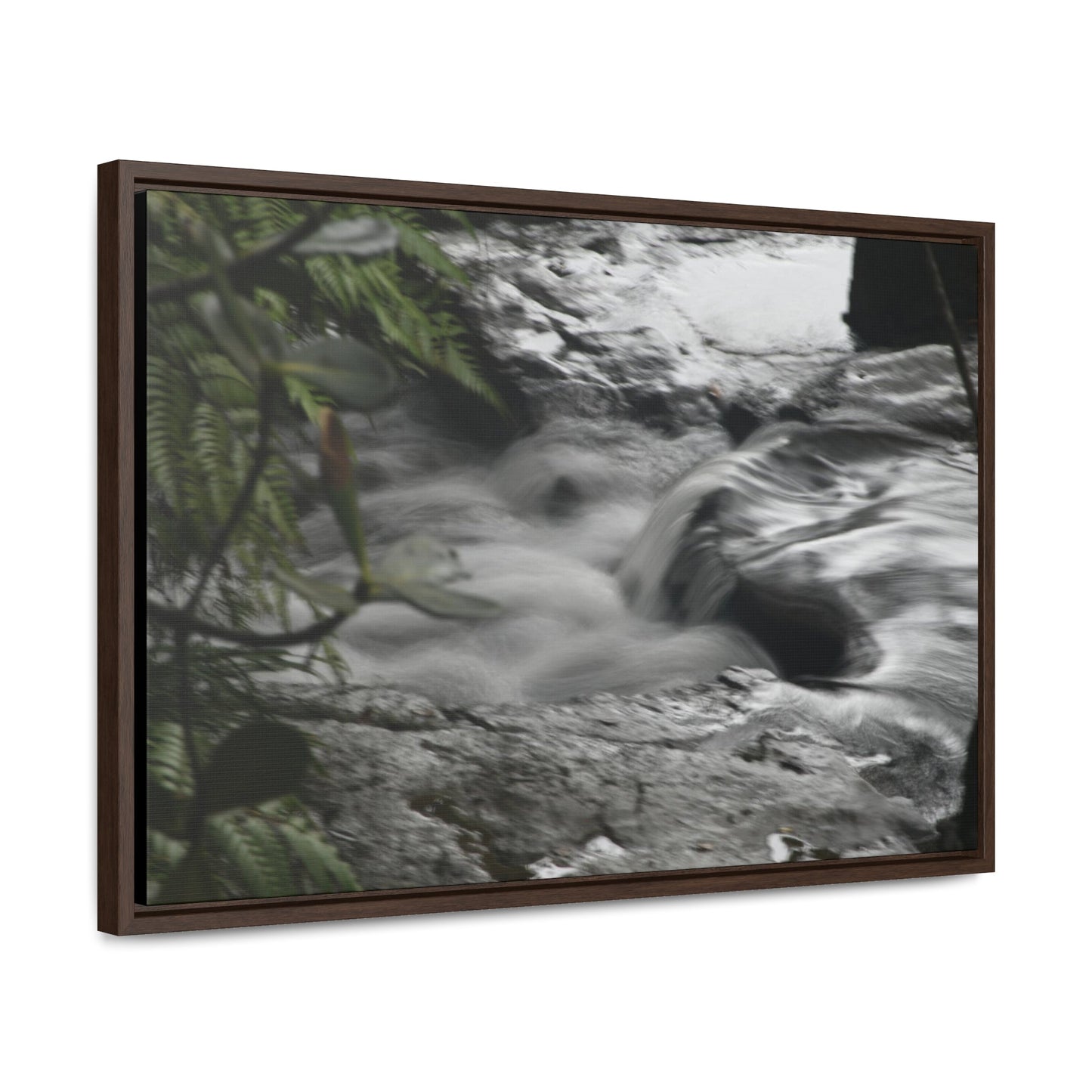 Rainforest Trails & Views - Gallery Canvas Wraps, Horizontal Frame - El Yunque National Forest - Puerto Rico - The Rio Sabana River just before a waterfall - Green Forest Home
