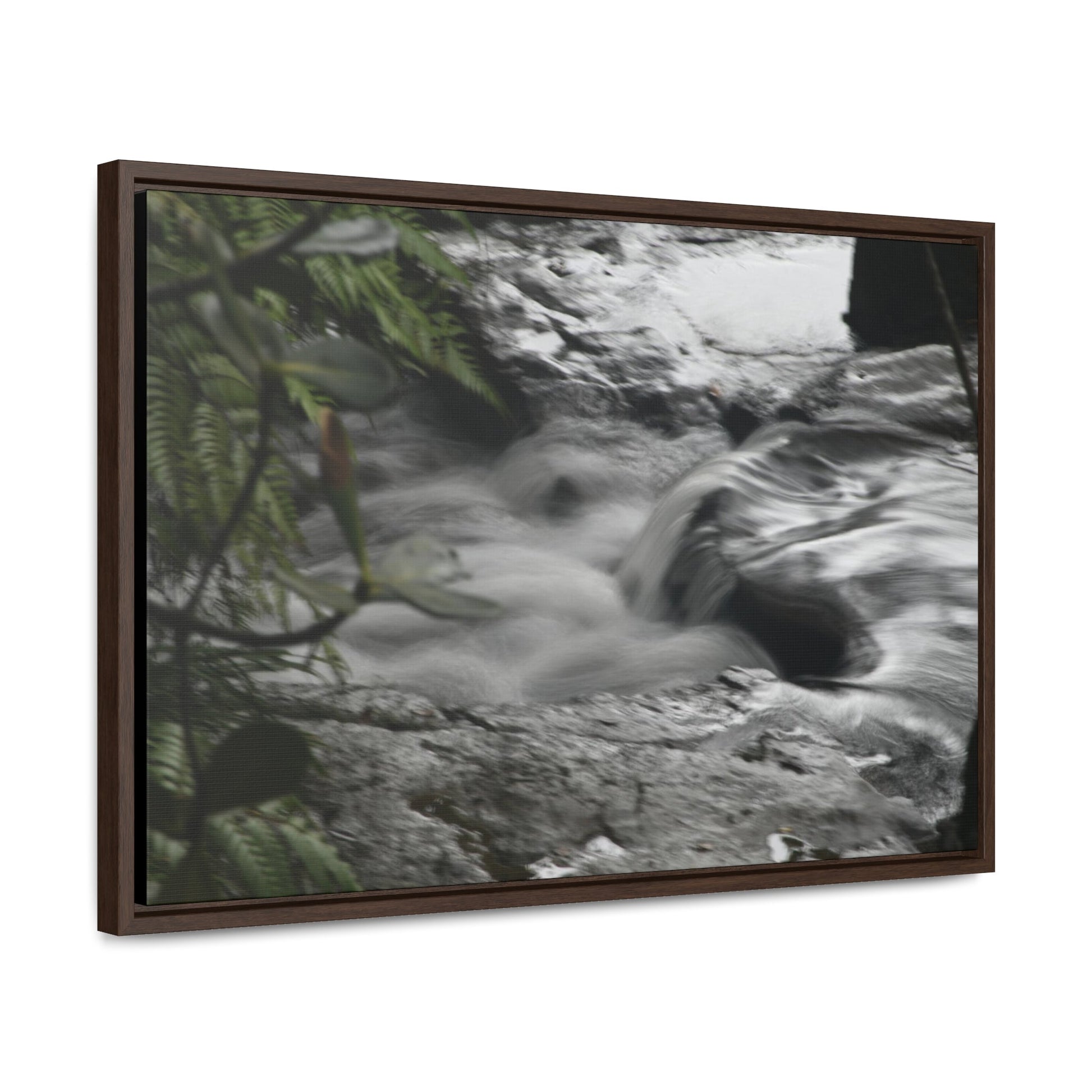 Rainforest Trails & Views - Gallery Canvas Wraps, Horizontal Frame - El Yunque National Forest - Puerto Rico - The Rio Sabana River just before a waterfall - Green Forest Home