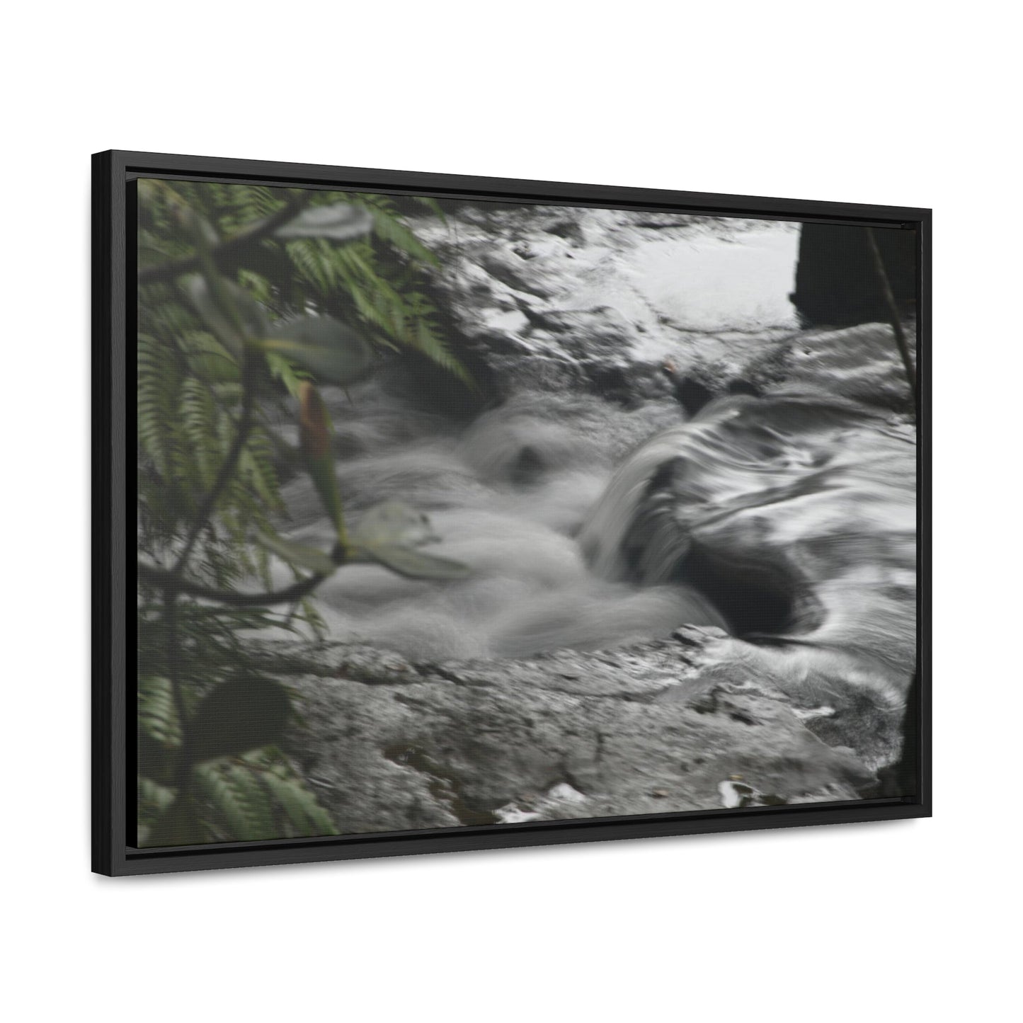 Rainforest Trails & Views - Gallery Canvas Wraps, Horizontal Frame - El Yunque National Forest - Puerto Rico - The Rio Sabana River just before a waterfall - Green Forest Home