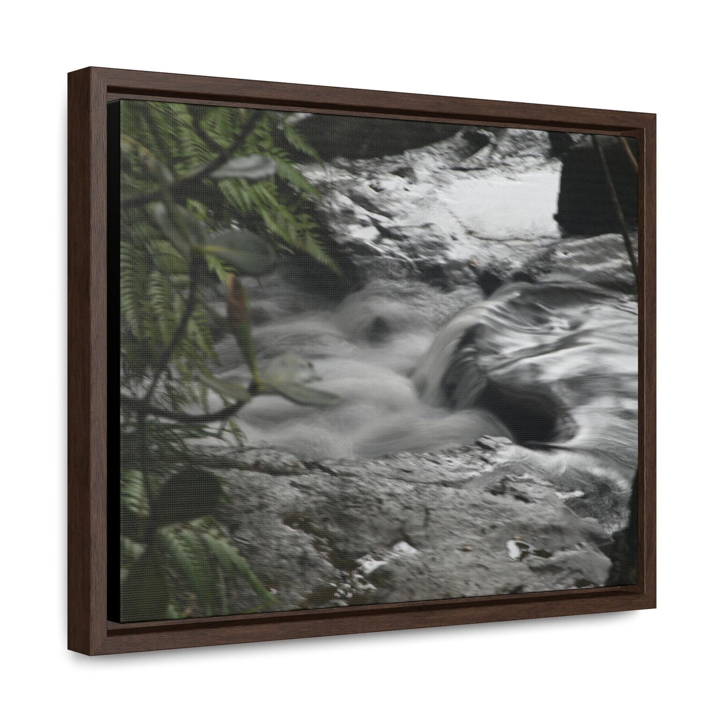 Rainforest Trails & Views - Gallery Canvas Wraps, Horizontal Frame - El Yunque National Forest - Puerto Rico - The Rio Sabana River just before a waterfall - Green Forest Home