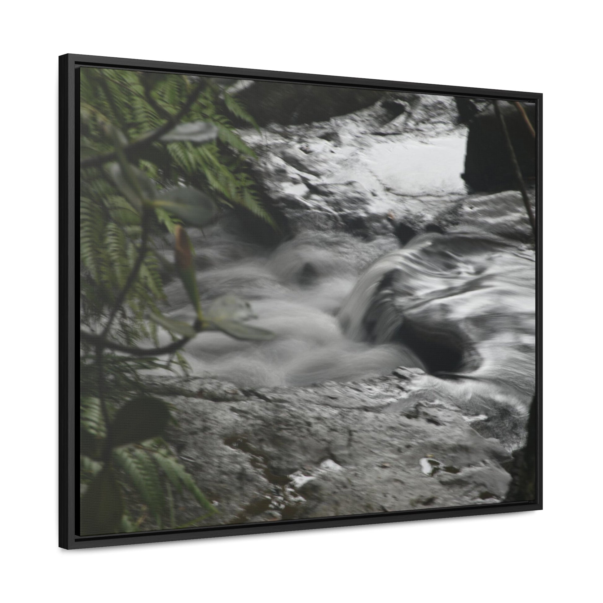 Rainforest Trails & Views - Gallery Canvas Wraps, Horizontal Frame - El Yunque National Forest - Puerto Rico - The Rio Sabana River just before a waterfall - Green Forest Home