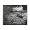 Rainforest Trails & Views - Gallery Canvas Wraps, Horizontal Frame - El Yunque National Forest - Puerto Rico - The Rio Sabana River just before a waterfall - Green Forest Home
