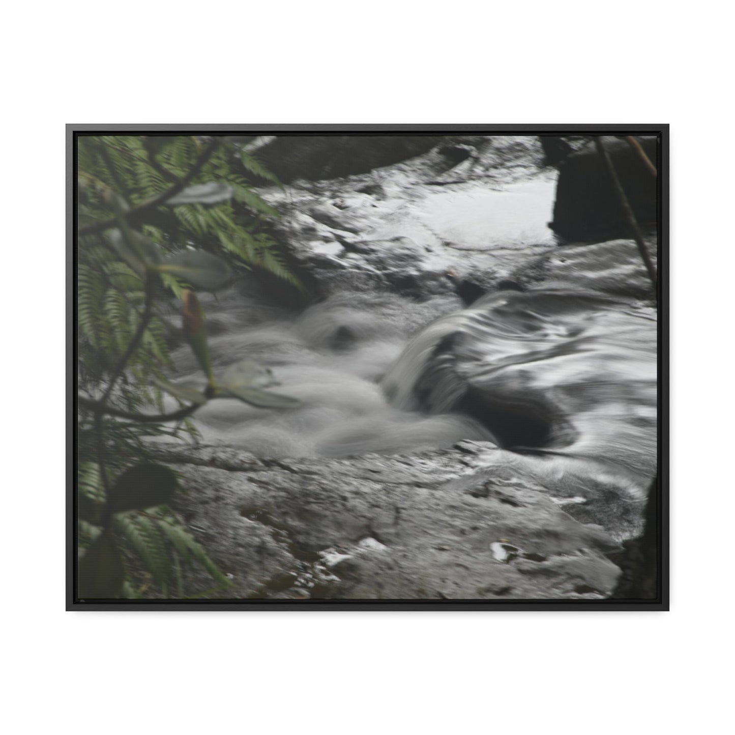 Rainforest Trails & Views - Gallery Canvas Wraps, Horizontal Frame - El Yunque National Forest - Puerto Rico - The Rio Sabana River just before a waterfall - Green Forest Home