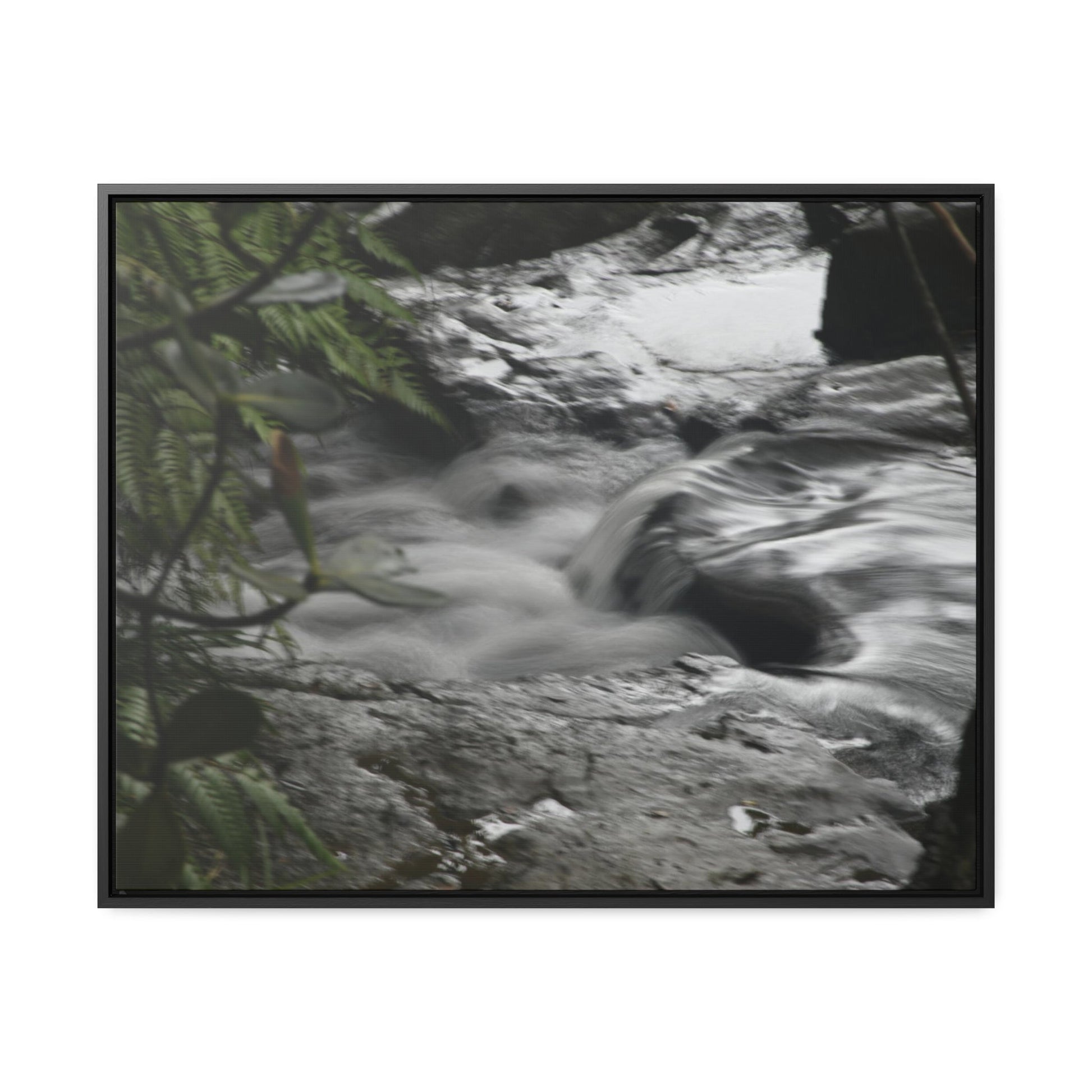 Rainforest Trails & Views - Gallery Canvas Wraps, Horizontal Frame - El Yunque National Forest - Puerto Rico - The Rio Sabana River just before a waterfall - Green Forest Home