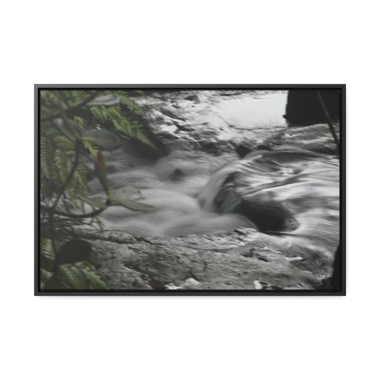 Rainforest Trails & Views - Gallery Canvas Wraps, Horizontal Frame - El Yunque National Forest - Puerto Rico - The Rio Sabana River just before a waterfall - Green Forest Home