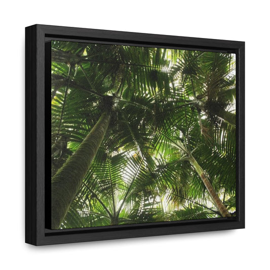 Rainforest Trails & Views - Gallery Canvas Wraps, Horizontal Frame - El Yunque National Forest - Puerto Rico - The sierra palm forest canopy before Hurricane Maria in 2017 - Green Forest Home