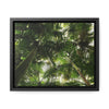 Rainforest Trails & Views - Gallery Canvas Wraps, Horizontal Frame - El Yunque National Forest - Puerto Rico - The sierra palm forest canopy before Hurricane Maria in 2017 - Green Forest Home