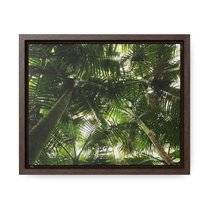 Rainforest Trails & Views - Gallery Canvas Wraps, Horizontal Frame - El Yunque National Forest - Puerto Rico - The sierra palm forest canopy before Hurricane Maria in 2017 - Green Forest Home