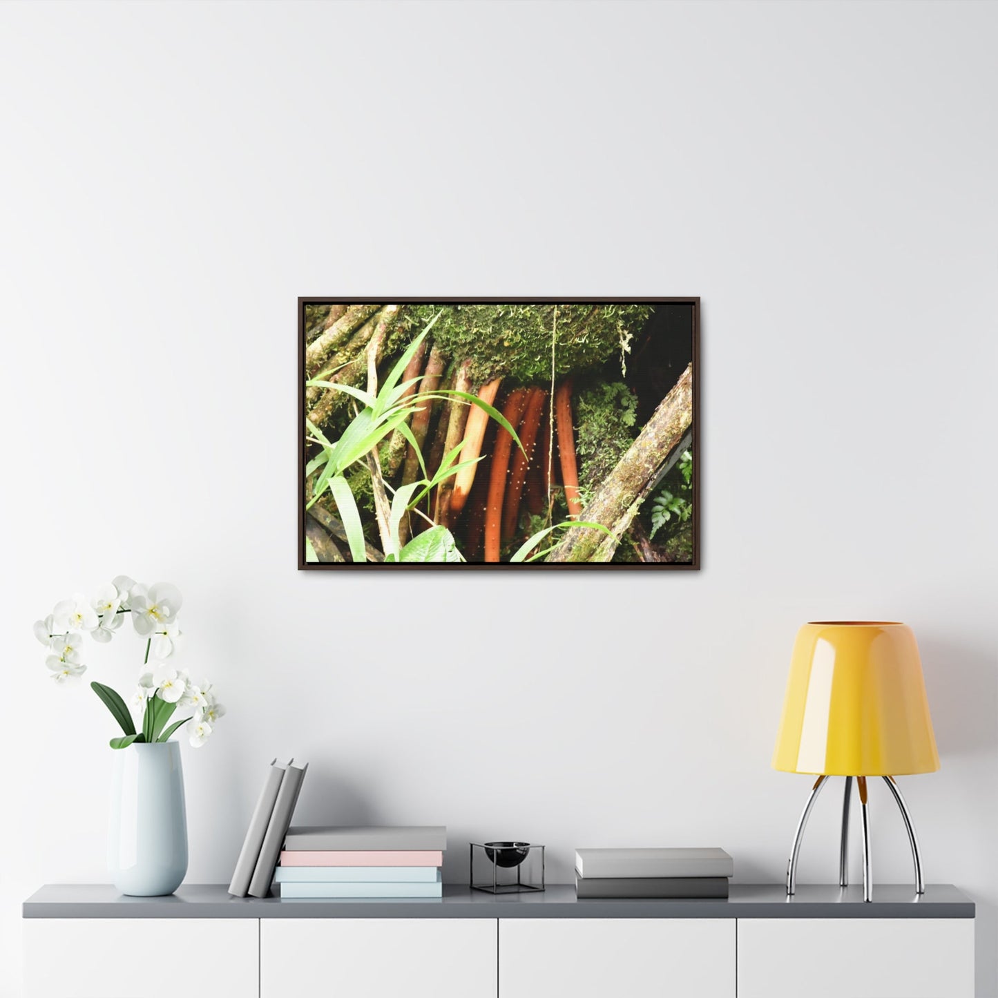 Rainforest Trails & Views - Gallery Canvas Wraps, Horizontal Frame - El Yunque National Forest - Puerto Rico - The strong (red) roots of the Sierra Palm what can survive hurricanes - Green Forest Home