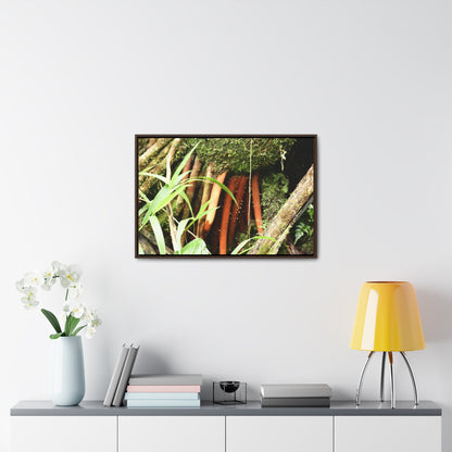 Rainforest Trails & Views - Gallery Canvas Wraps, Horizontal Frame - El Yunque National Forest - Puerto Rico - The strong (red) roots of the Sierra Palm what can survive hurricanes - Green Forest Home