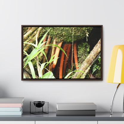 Rainforest Trails & Views - Gallery Canvas Wraps, Horizontal Frame - El Yunque National Forest - Puerto Rico - The strong (red) roots of the Sierra Palm what can survive hurricanes - Green Forest Home