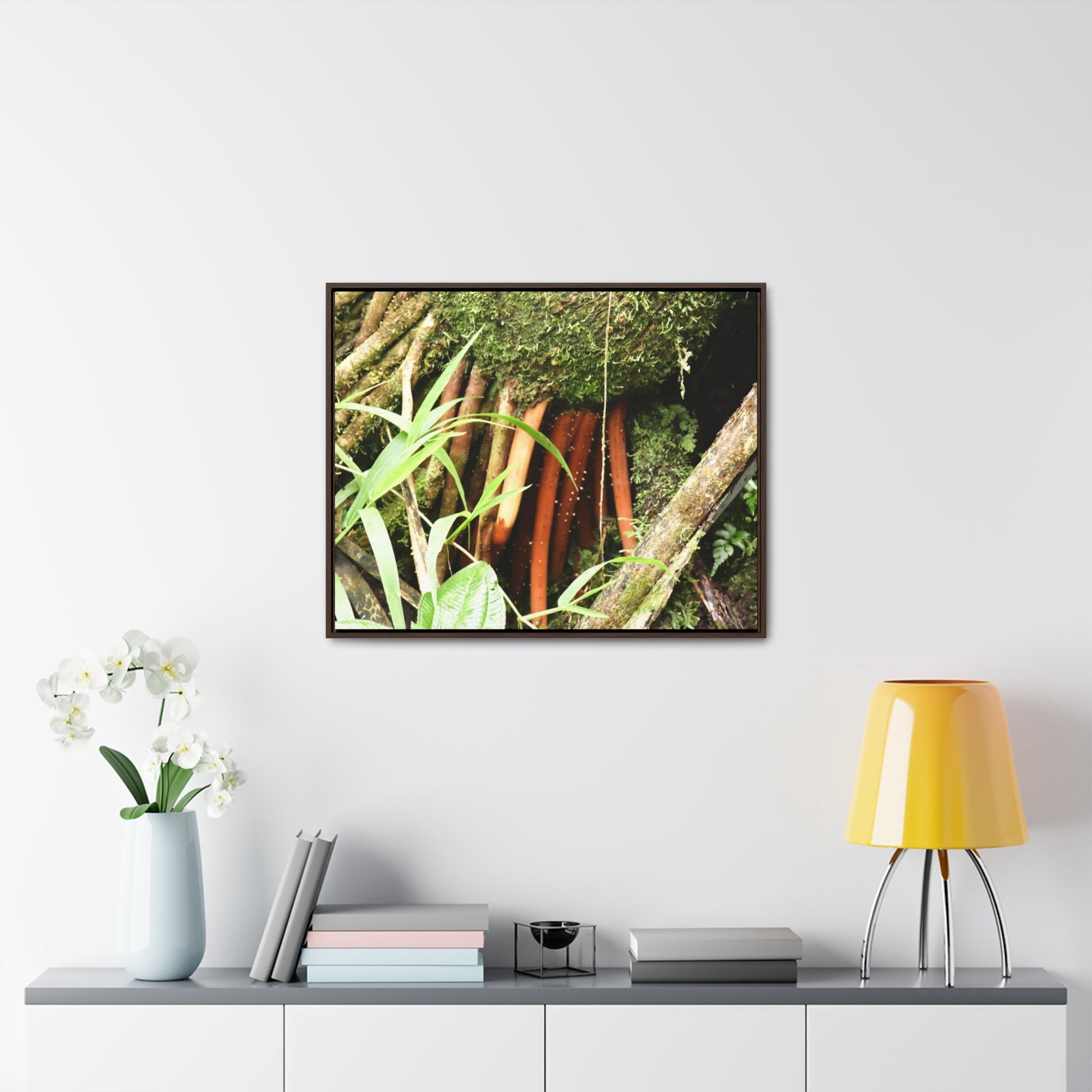 Rainforest Trails & Views - Gallery Canvas Wraps, Horizontal Frame - El Yunque National Forest - Puerto Rico - The strong (red) roots of the Sierra Palm what can survive hurricanes - Green Forest Home