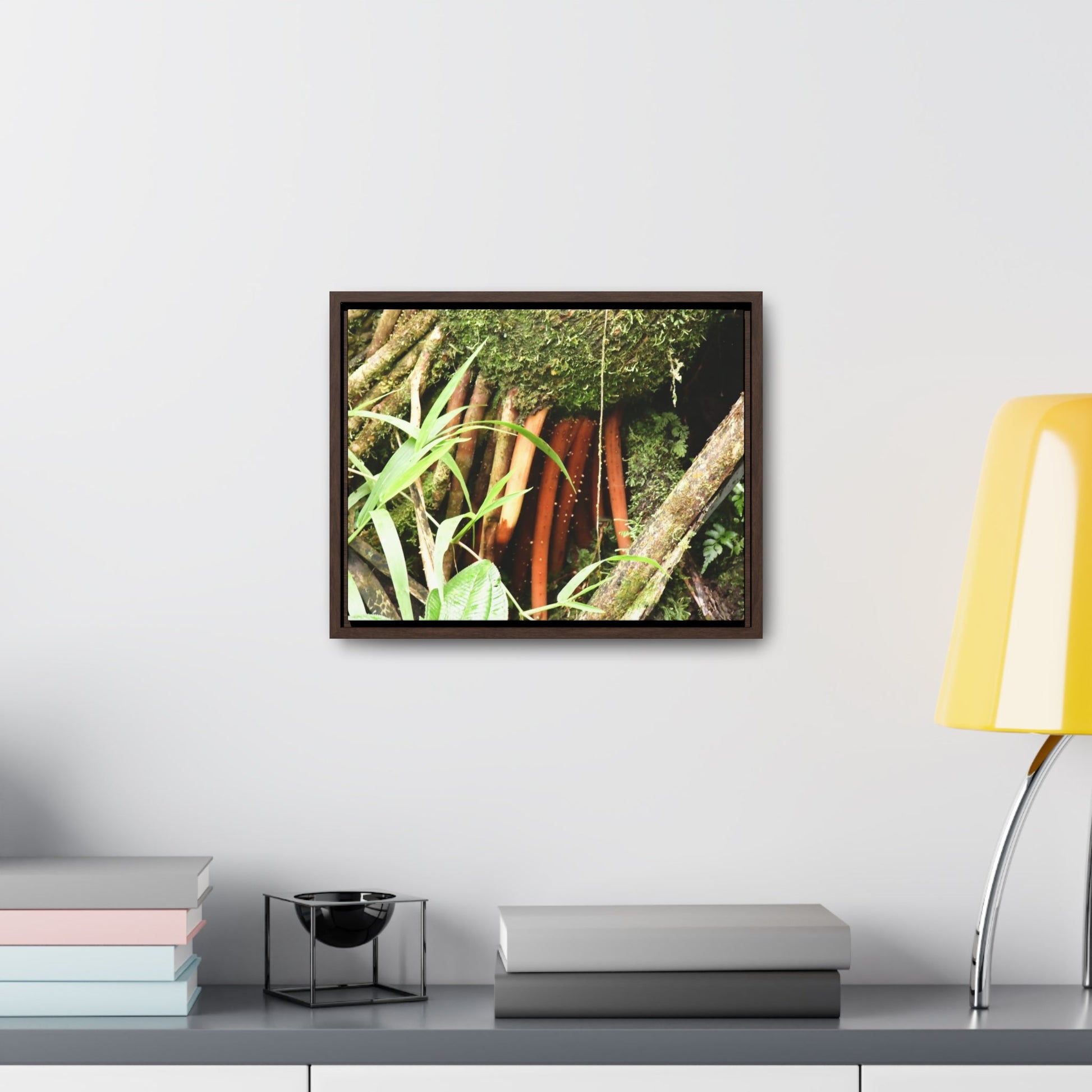 Rainforest Trails & Views - Gallery Canvas Wraps, Horizontal Frame - El Yunque National Forest - Puerto Rico - The strong (red) roots of the Sierra Palm what can survive hurricanes - Green Forest Home