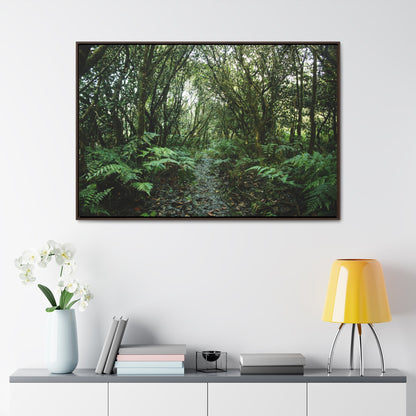 Rainforest Trails & Views - Gallery Canvas Wraps, Horizontal Frame - El Yunque National Forest - Puerto Rico - Tradewinds trail cloud forest - Green Forest Home