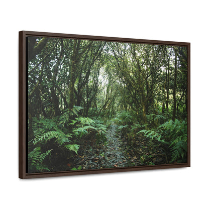 Rainforest Trails & Views - Gallery Canvas Wraps, Horizontal Frame - El Yunque National Forest - Puerto Rico - Tradewinds trail cloud forest - Green Forest Home