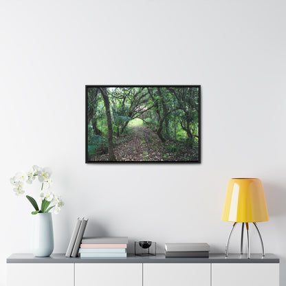 Rainforest Trails & Views - Gallery Canvas Wraps, Horizontal Frame - El Yunque National Forest - Puerto Rico - Tradewinds trail - cloud forest - Green Forest Home