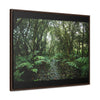 Rainforest Trails & Views - Gallery Canvas Wraps, Horizontal Frame - El Yunque National Forest - Puerto Rico - Tradewinds trail cloud forest - Green Forest Home