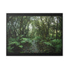 Rainforest Trails & Views - Gallery Canvas Wraps, Horizontal Frame - El Yunque National Forest - Puerto Rico - Tradewinds trail cloud forest - Green Forest Home
