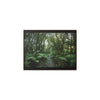 Rainforest Trails & Views - Gallery Canvas Wraps, Horizontal Frame - El Yunque National Forest - Puerto Rico - Tradewinds trail cloud forest - Green Forest Home