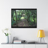 Rainforest Trails & Views - Gallery Canvas Wraps, Horizontal Frame - El Yunque National Forest - Puerto Rico - Tradewinds trail - cloud forest - Green Forest Home