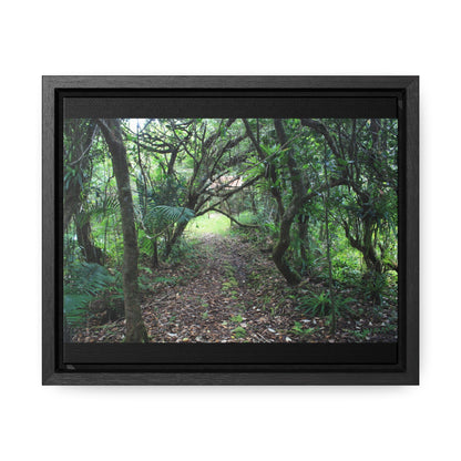 Rainforest Trails & Views - Gallery Canvas Wraps, Horizontal Frame - El Yunque National Forest - Puerto Rico - Tradewinds trail - cloud forest - Green Forest Home