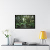 Rainforest Trails & Views - Gallery Canvas Wraps, Horizontal Frame - El Yunque National Forest - Puerto Rico - Tradewinds trail cloud forest - Green Forest Home