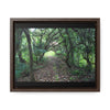 Rainforest Trails & Views - Gallery Canvas Wraps, Horizontal Frame - El Yunque National Forest - Puerto Rico - Tradewinds trail - cloud forest - Green Forest Home