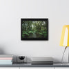 Rainforest Trails & Views - Gallery Canvas Wraps, Horizontal Frame - El Yunque National Forest - Puerto Rico - Tradewinds trail cloud forest - Green Forest Home