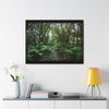 Rainforest Trails & Views - Gallery Canvas Wraps, Horizontal Frame - El Yunque National Forest - Puerto Rico - Tradewinds trail cloud forest - Green Forest Home