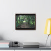 Rainforest Trails & Views - Gallery Canvas Wraps, Horizontal Frame - El Yunque National Forest - Puerto Rico - Tradewinds trail - cloud forest - Green Forest Home
