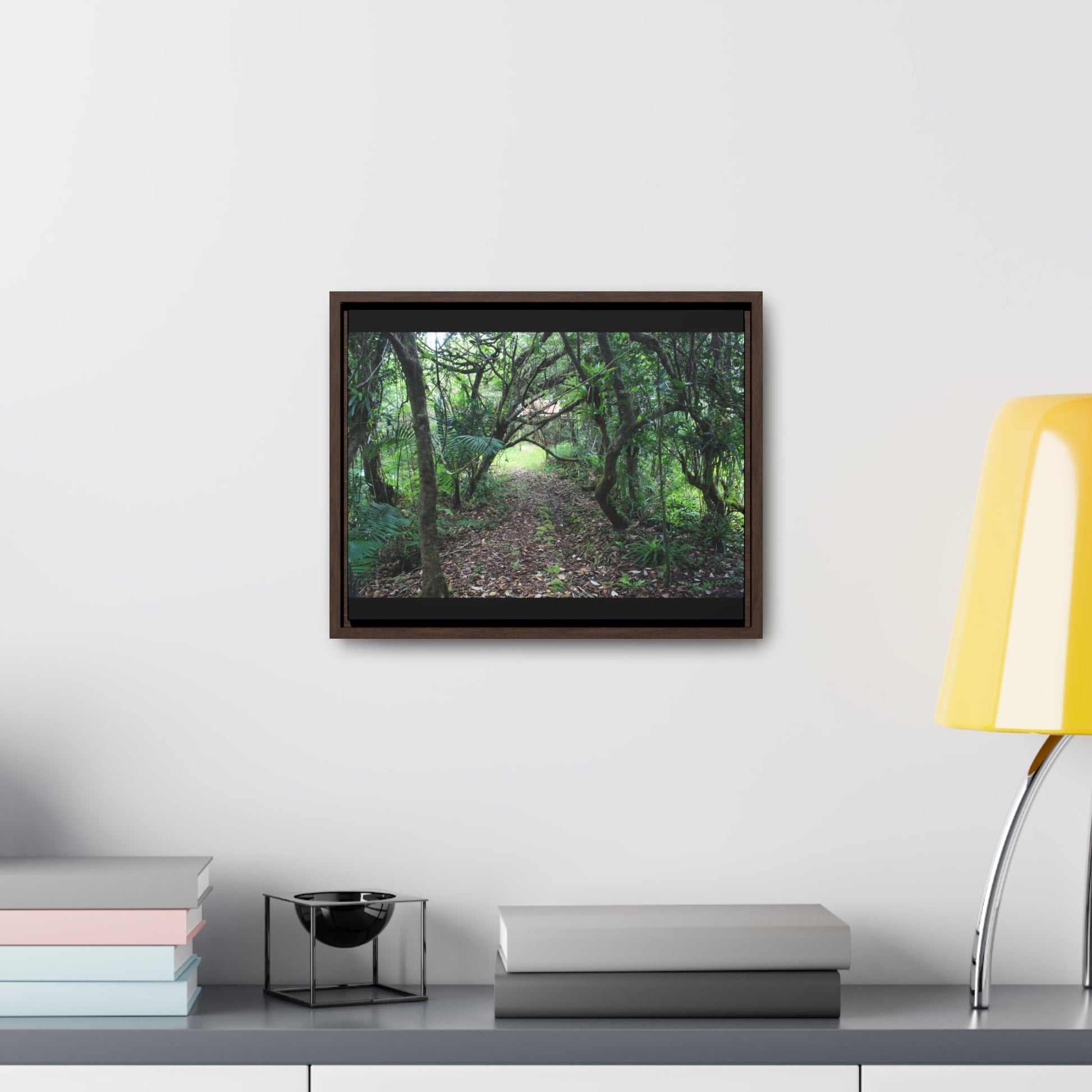 Rainforest Trails & Views - Gallery Canvas Wraps, Horizontal Frame - El Yunque National Forest - Puerto Rico - Tradewinds trail - cloud forest - Green Forest Home