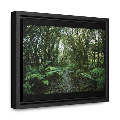 Rainforest Trails & Views - Gallery Canvas Wraps, Horizontal Frame - El Yunque National Forest - Puerto Rico - Tradewinds trail cloud forest - Green Forest Home