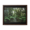 Rainforest Trails & Views - Gallery Canvas Wraps, Horizontal Frame - El Yunque National Forest - Puerto Rico - Tradewinds trail cloud forest - Green Forest Home