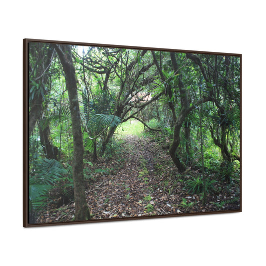 Rainforest Trails & Views - Gallery Canvas Wraps, Horizontal Frame - El Yunque National Forest - Puerto Rico - Tradewinds trail - cloud forest - Green Forest Home