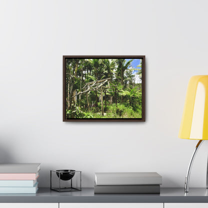 Rainforest Trails & Views - Gallery Canvas Wraps, Horizontal Frame - El Yunque National Forest - Puerto Rico - Tradewinds trail - destroyed shelter by Hurricane Maria 140MPH winds - Green Forest Home