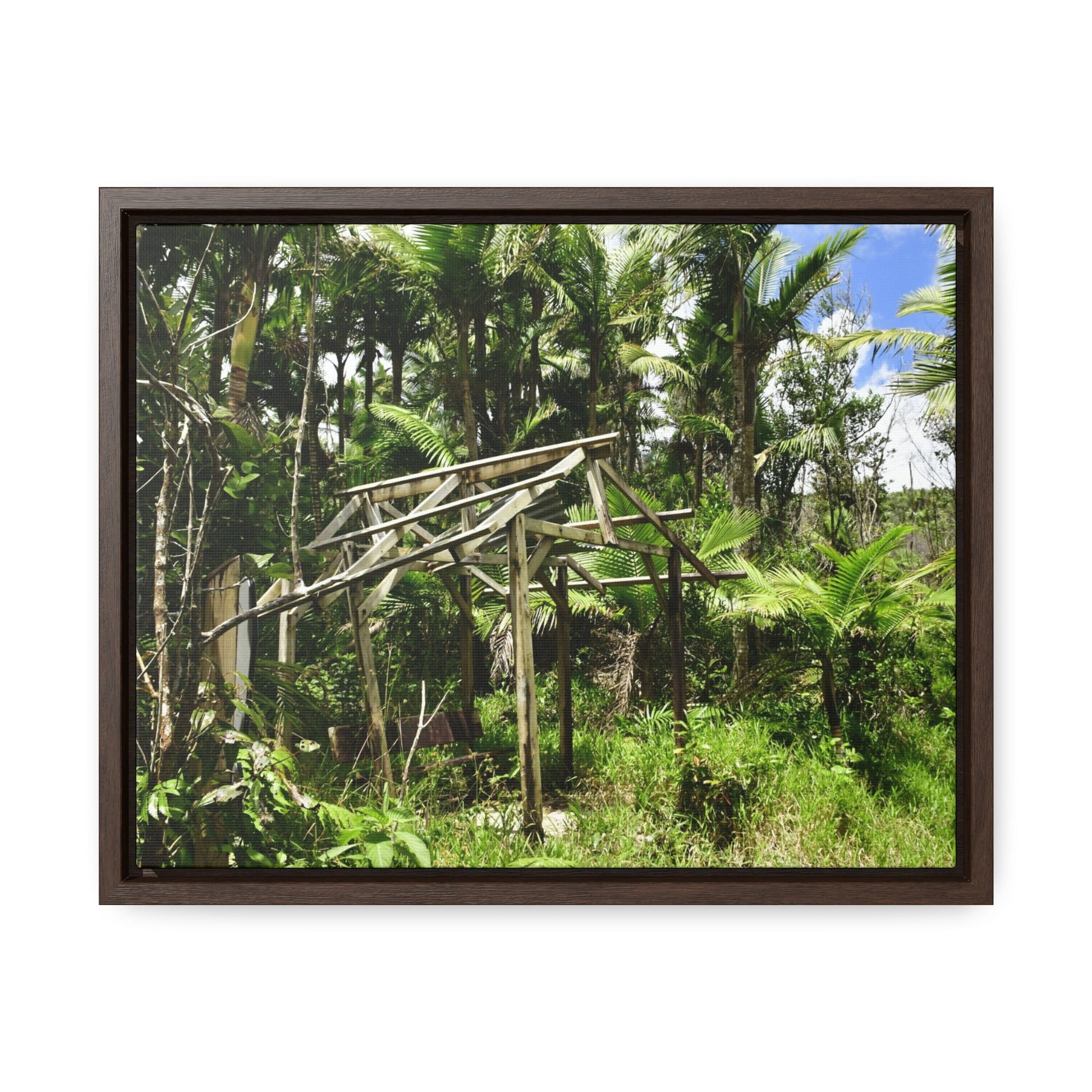 Rainforest Trails & Views - Gallery Canvas Wraps, Horizontal Frame - El Yunque National Forest - Puerto Rico - Tradewinds trail - destroyed shelter by Hurricane Maria 140MPH winds - Green Forest Home